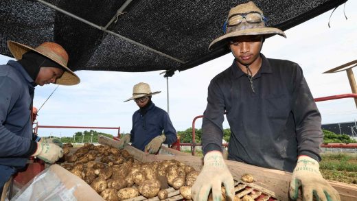 Ibaraki Prefecture to Pay Cash for Tips on Illegal Foreign Worker Hiring